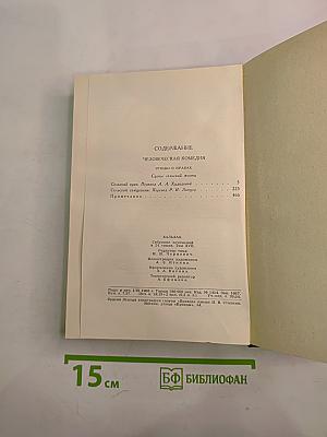 Человеческая комедия. Собрание сочинений в 24 томах. Том 17