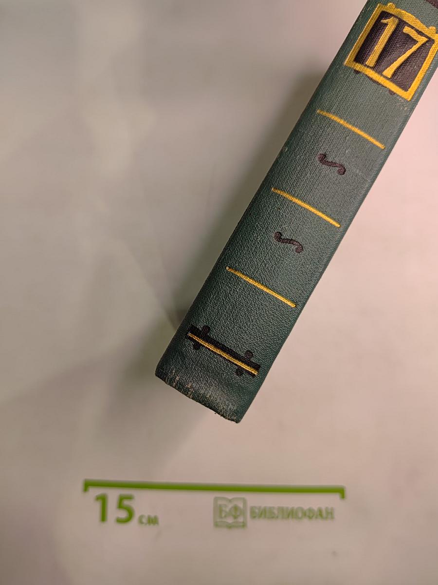 Человеческая комедия. Собрание сочинений в 24 томах. Том 17