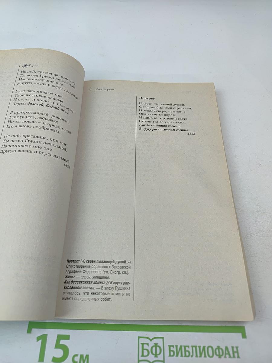 Лирика (Подробный комментарий, учебный материал, интерпретации)