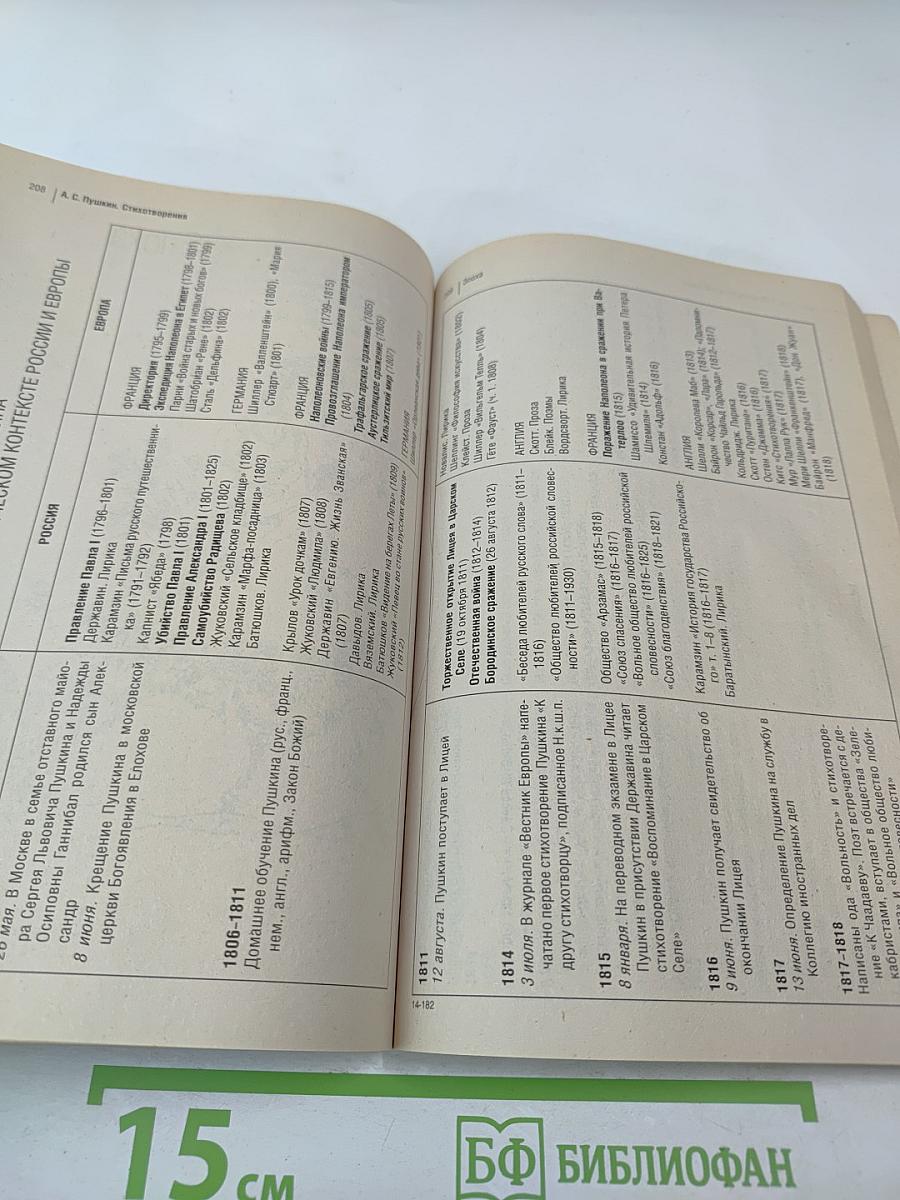 Лирика (Подробный комментарий, учебный материал, интерпретации)