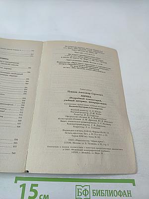 Лирика (Подробный комментарий, учебный материал, интерпретации)