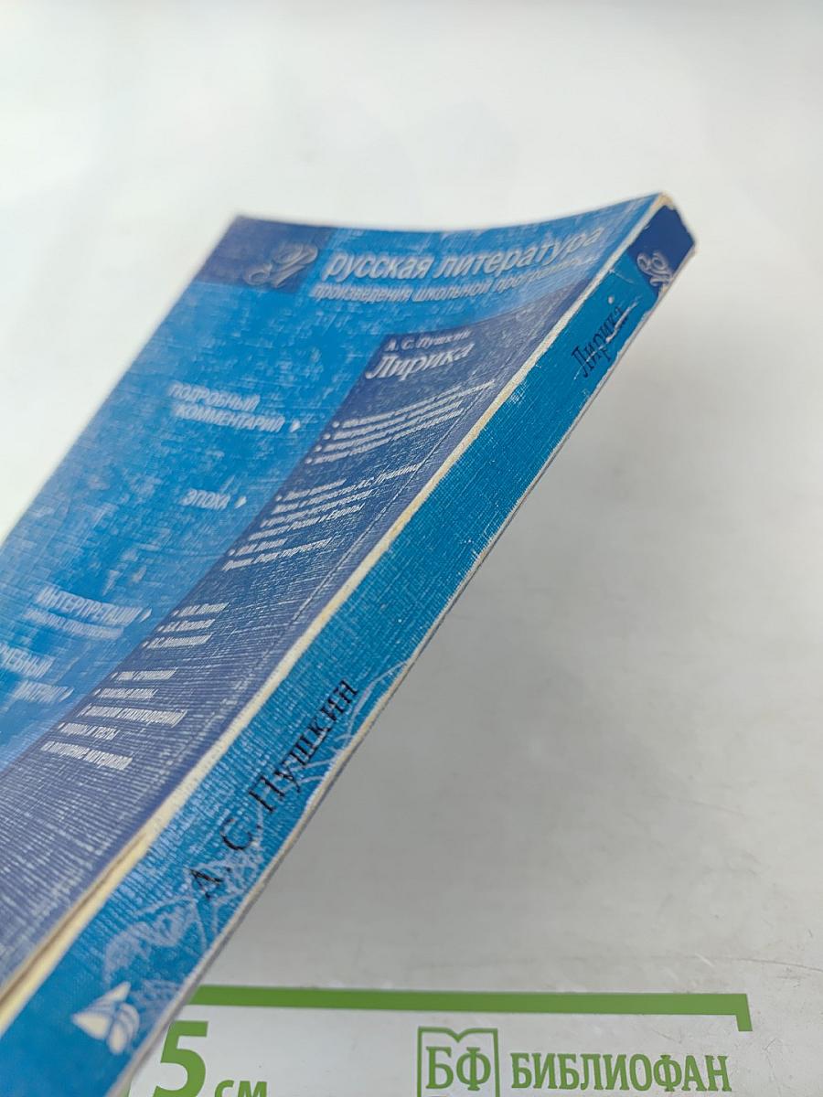 Лирика (Подробный комментарий, учебный материал, интерпретации)