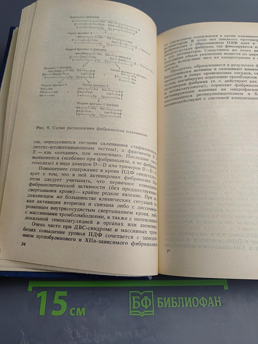 Геморрагические заболевания и синдромы
