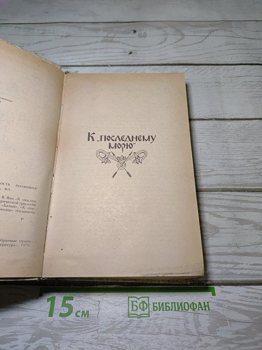 К последнему морю. Юность полководца