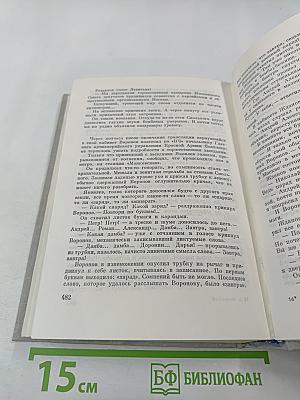Блокада. Книга третья и четвертая