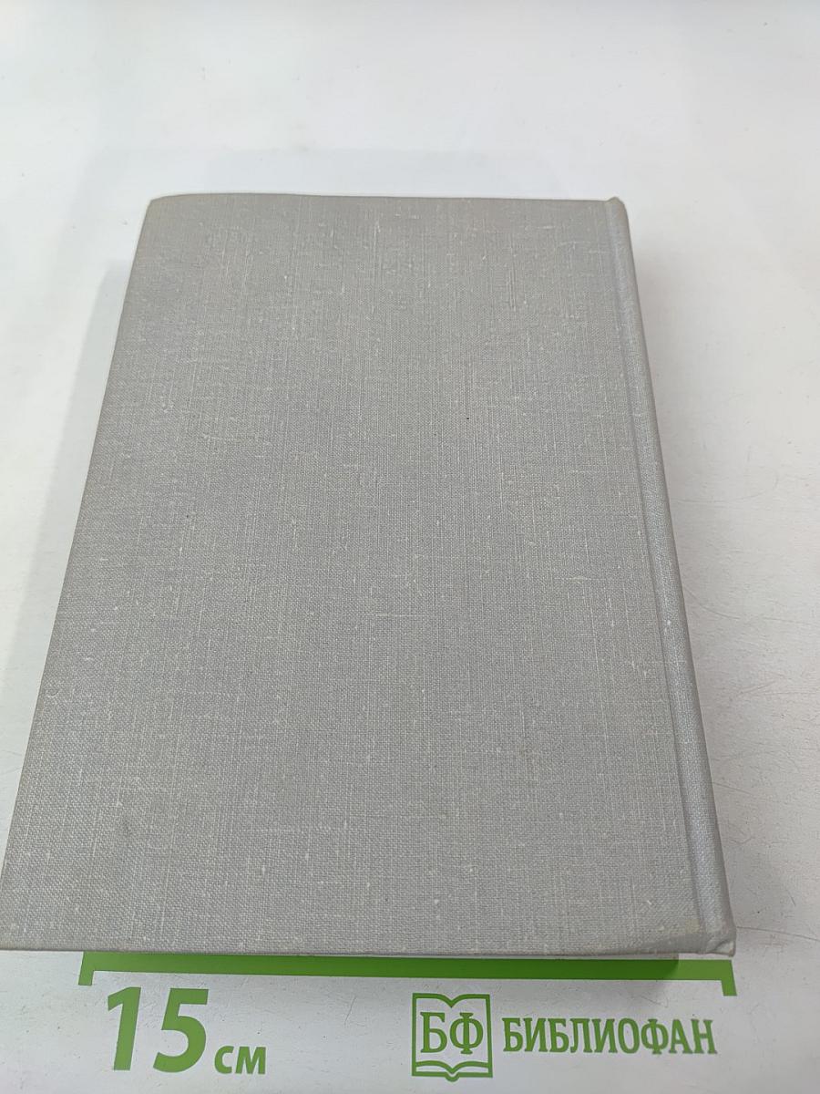 Блокада. Книга третья и четвертая