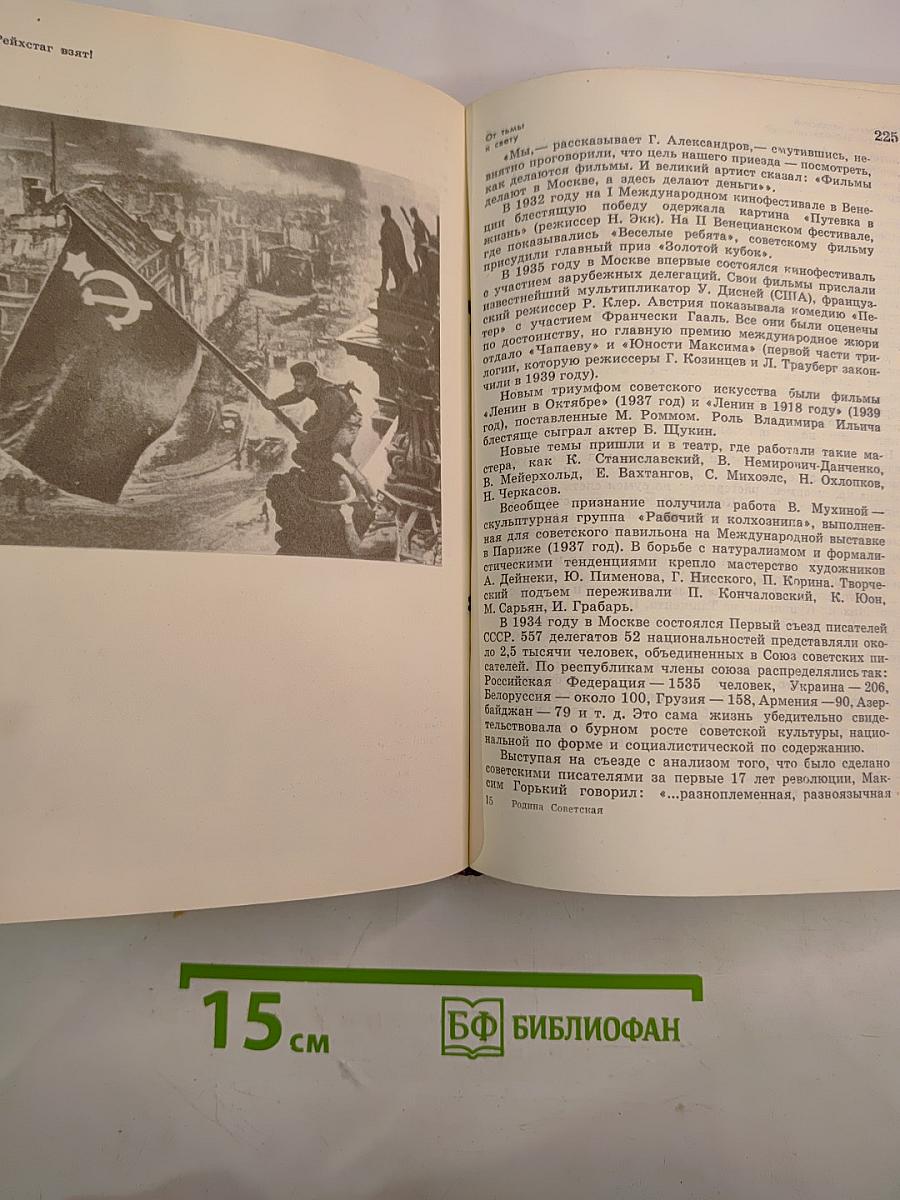 Родина Советская 1917-1980: Исторический очерк