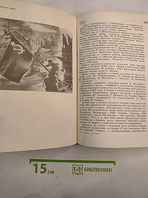 Родина Советская 1917-1980: Исторический очерк
