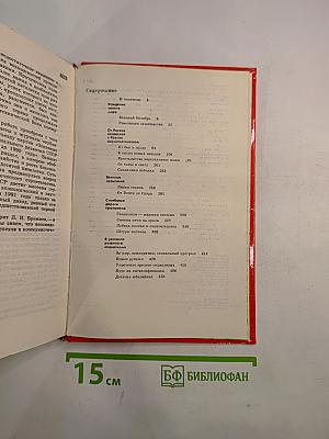 Родина Советская 1917-1980: Исторический очерк