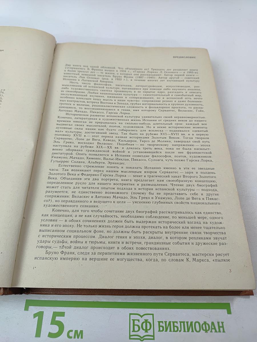 Бруно Франк. Сервантес. Лев Основат. Гарсиа Лорка