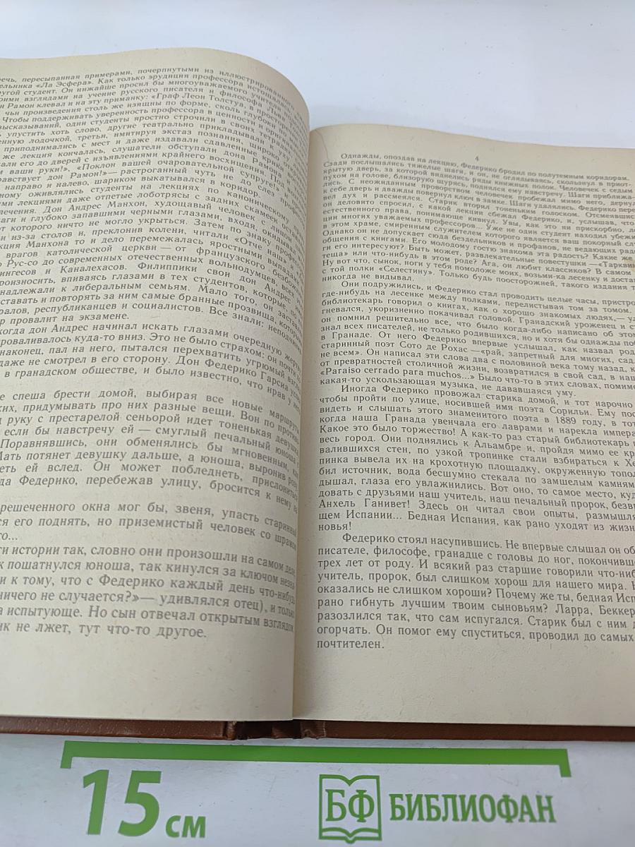 Бруно Франк. Сервантес. Лев Основат. Гарсиа Лорка