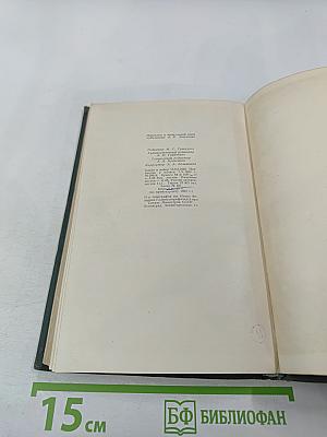 Бессмертный