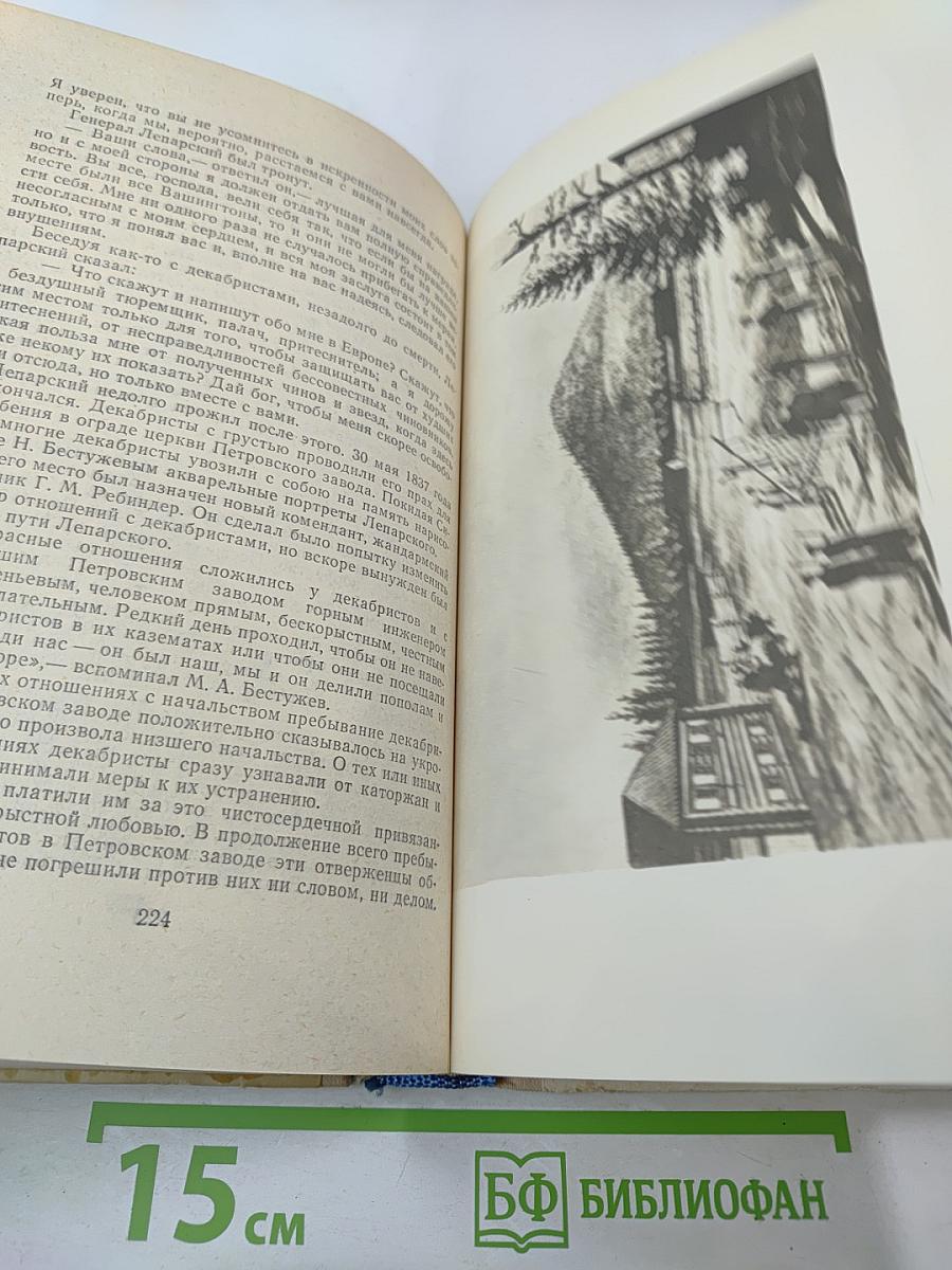 Во глубине сибирских руд... Декабристы на каторге и в ссылке: Документальная повесть