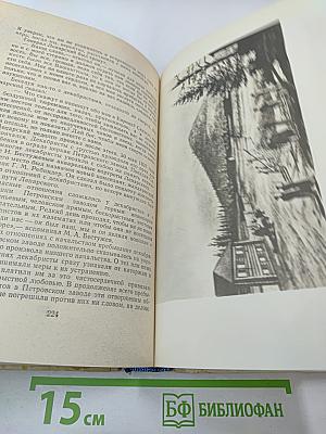 Во глубине сибирских руд... Декабристы на каторге и в ссылке: Документальная повесть