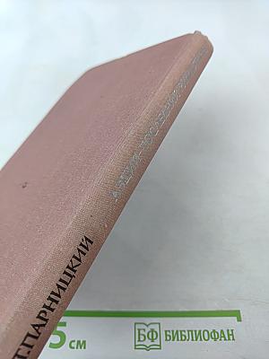 Аэций - последний римлянин