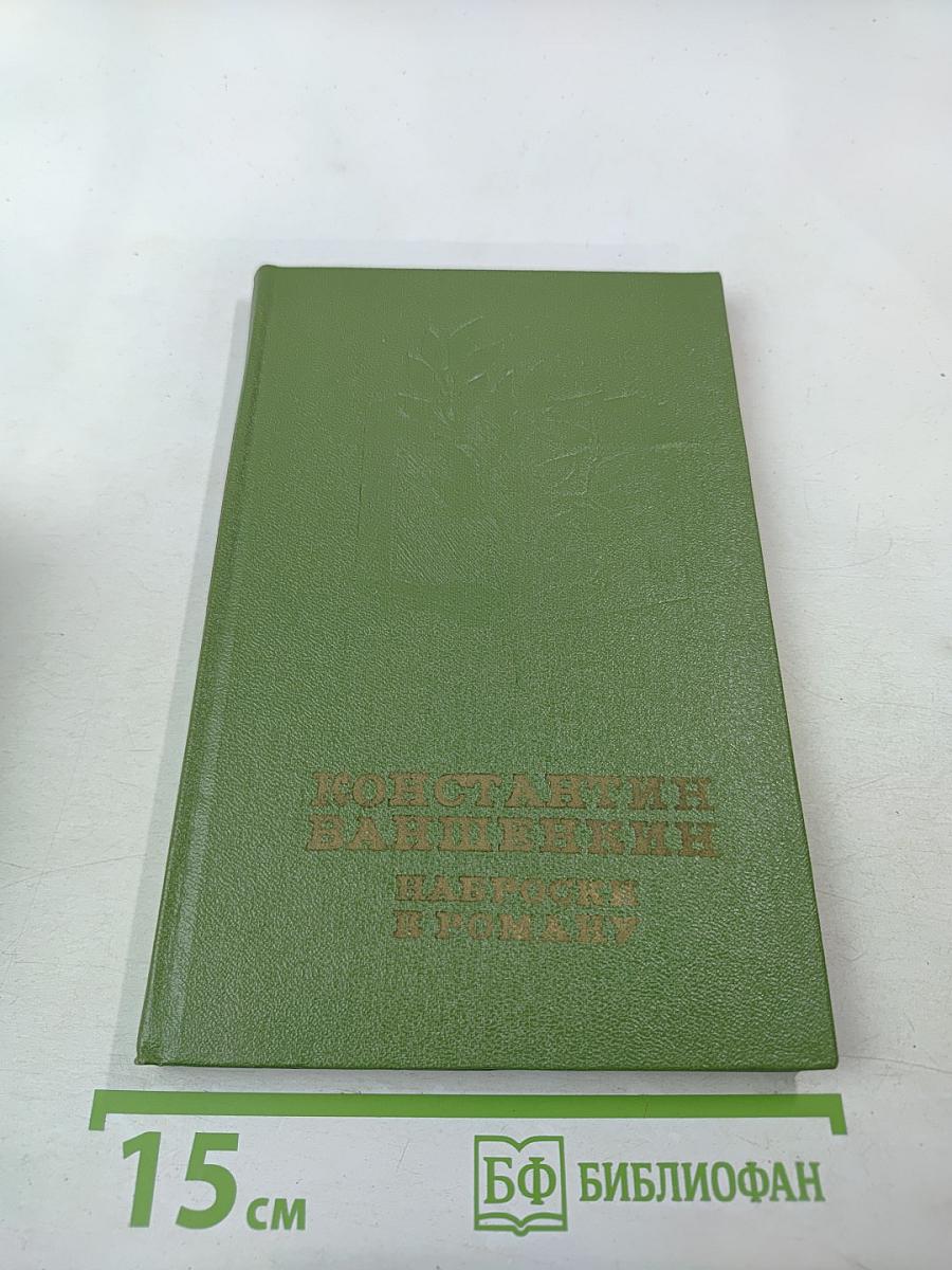 Наброски к роману