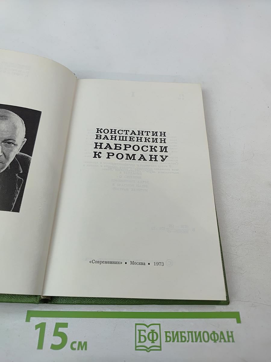 Наброски к роману
