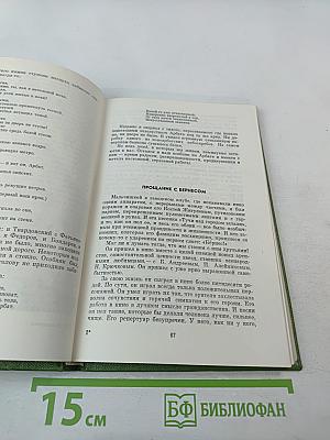 Наброски к роману