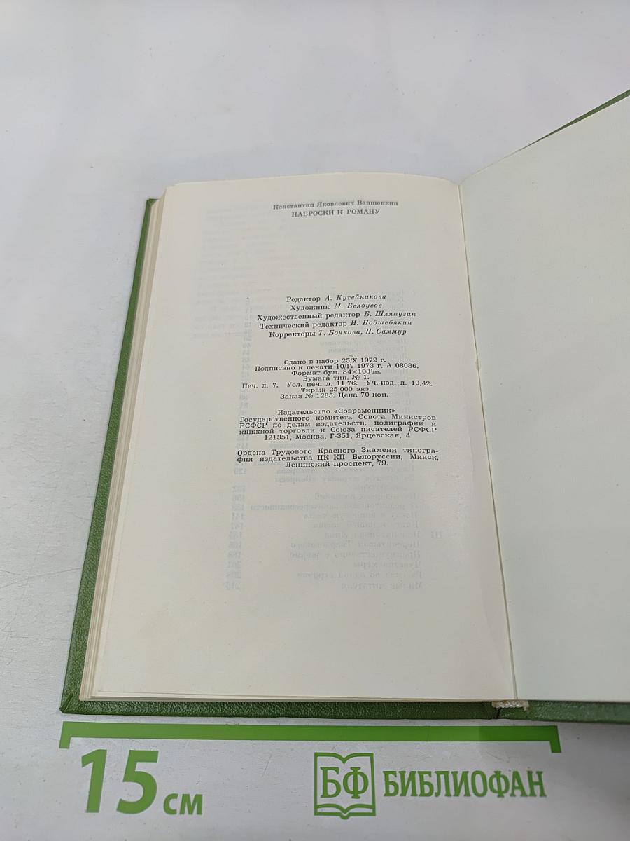 Наброски к роману