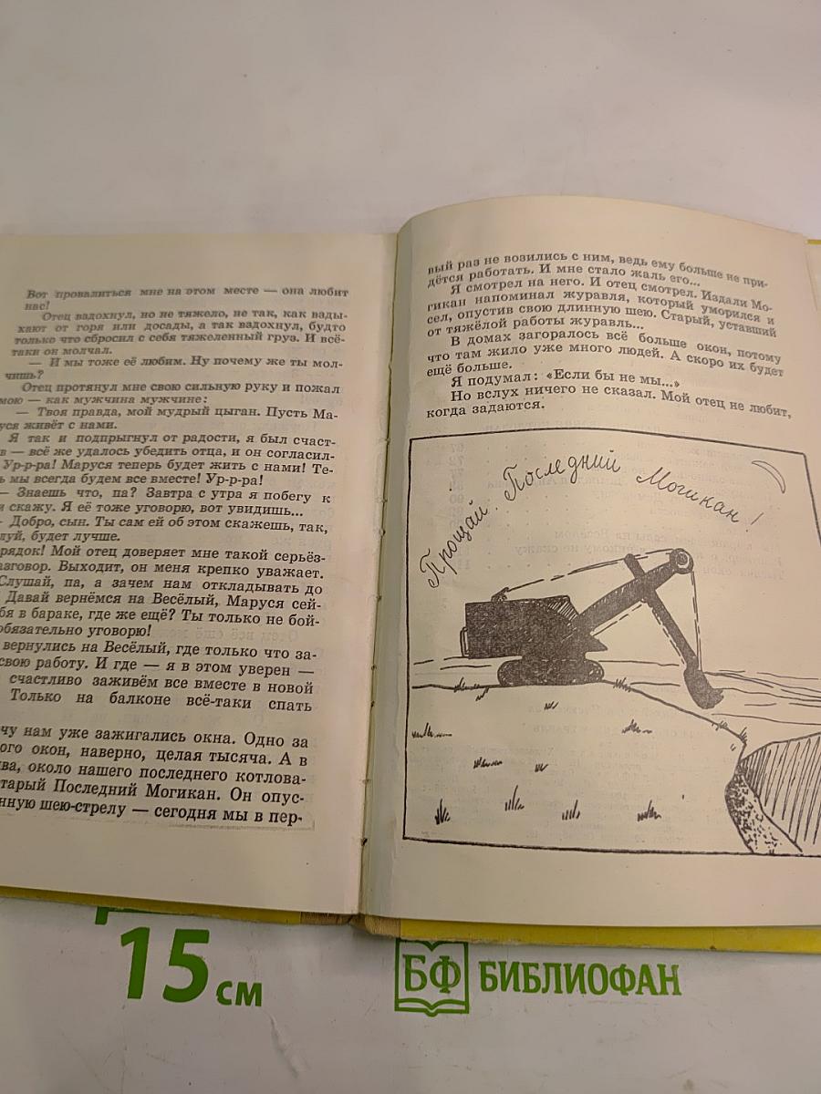 Тысяча окон и один журавль