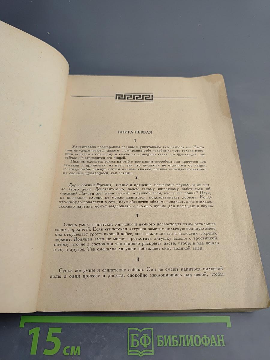 Пестрые рассказы