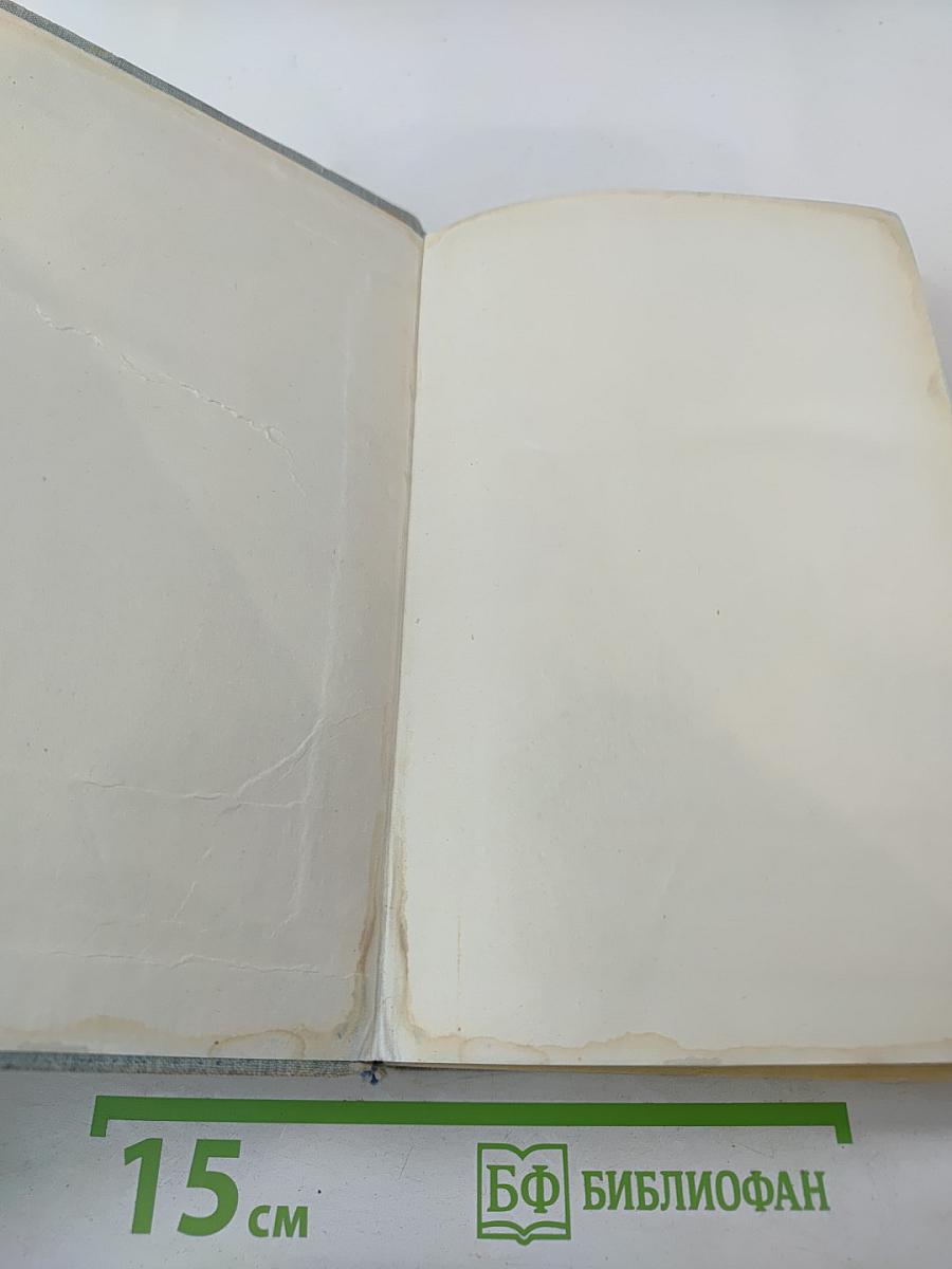 Белая калина. Роман