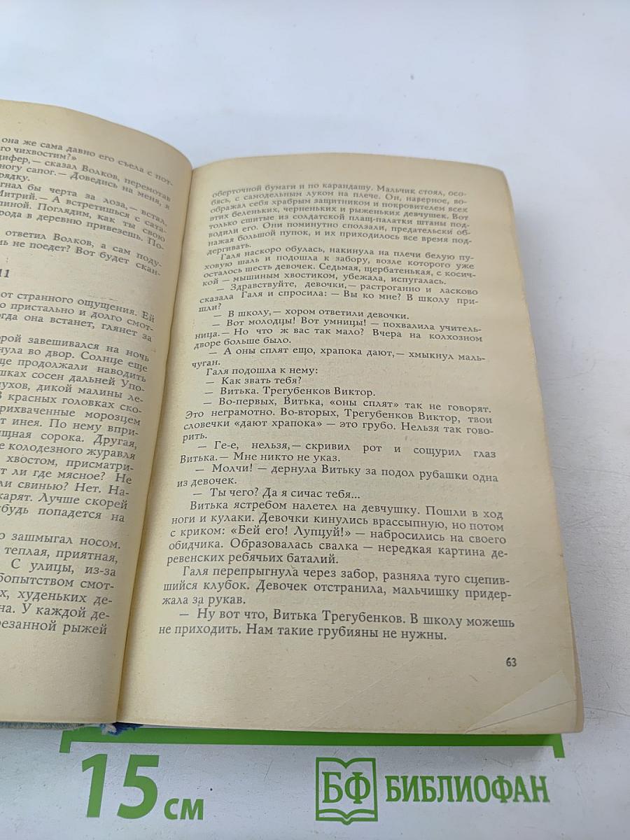 Белая калина. Роман