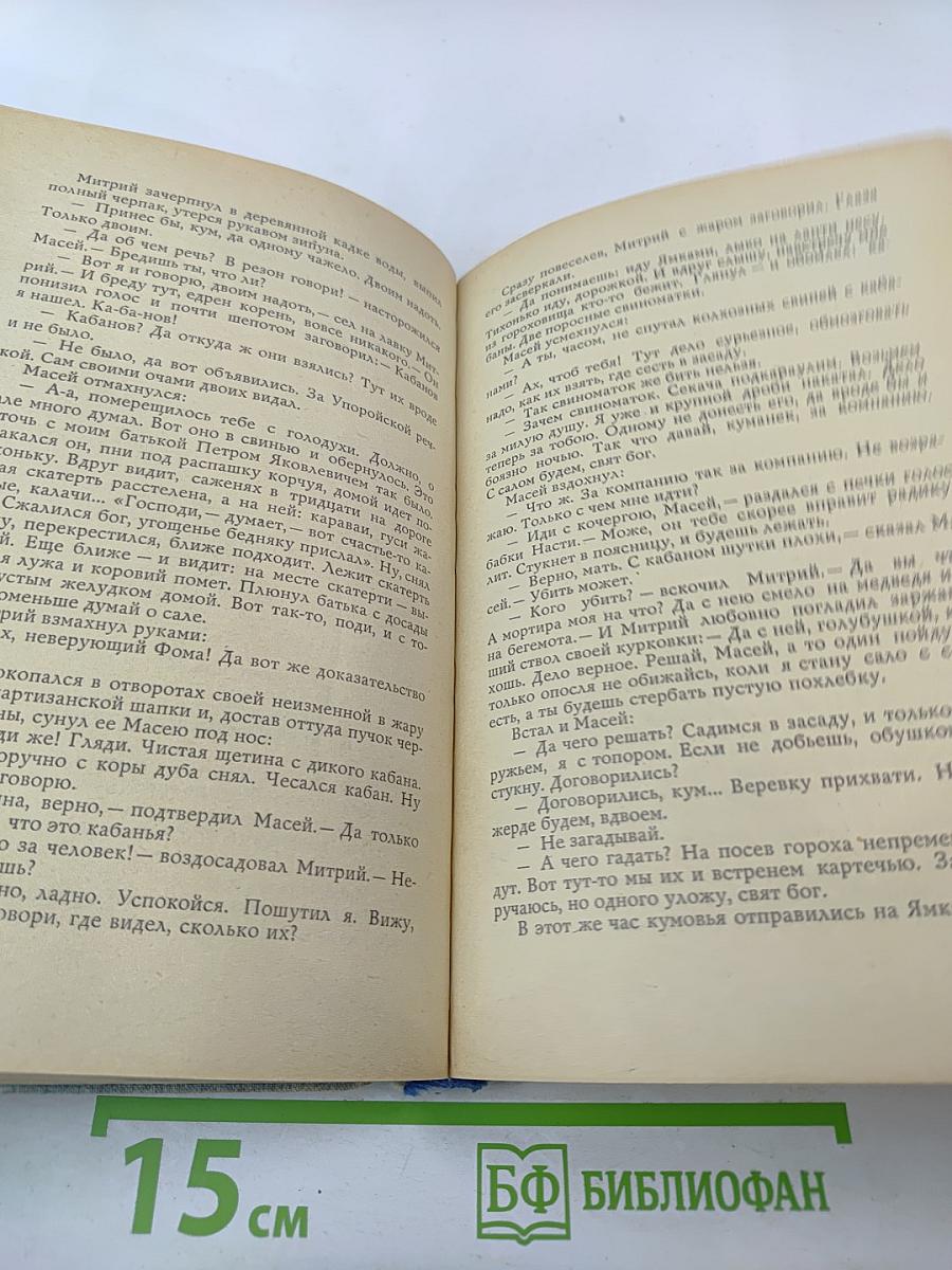 Белая калина. Роман