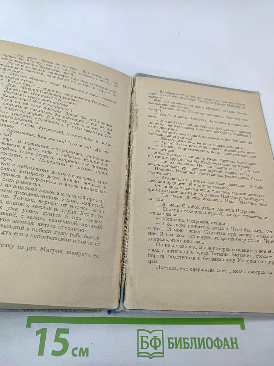 Белая калина. Роман