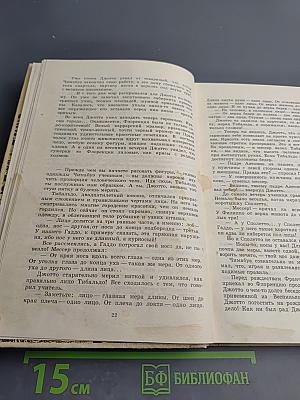 Джотто-флорентинец