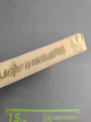 Джотто-флорентинец