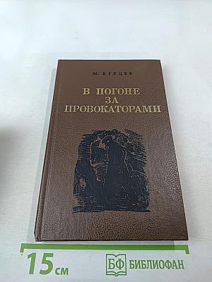 В погоне за провокаторами