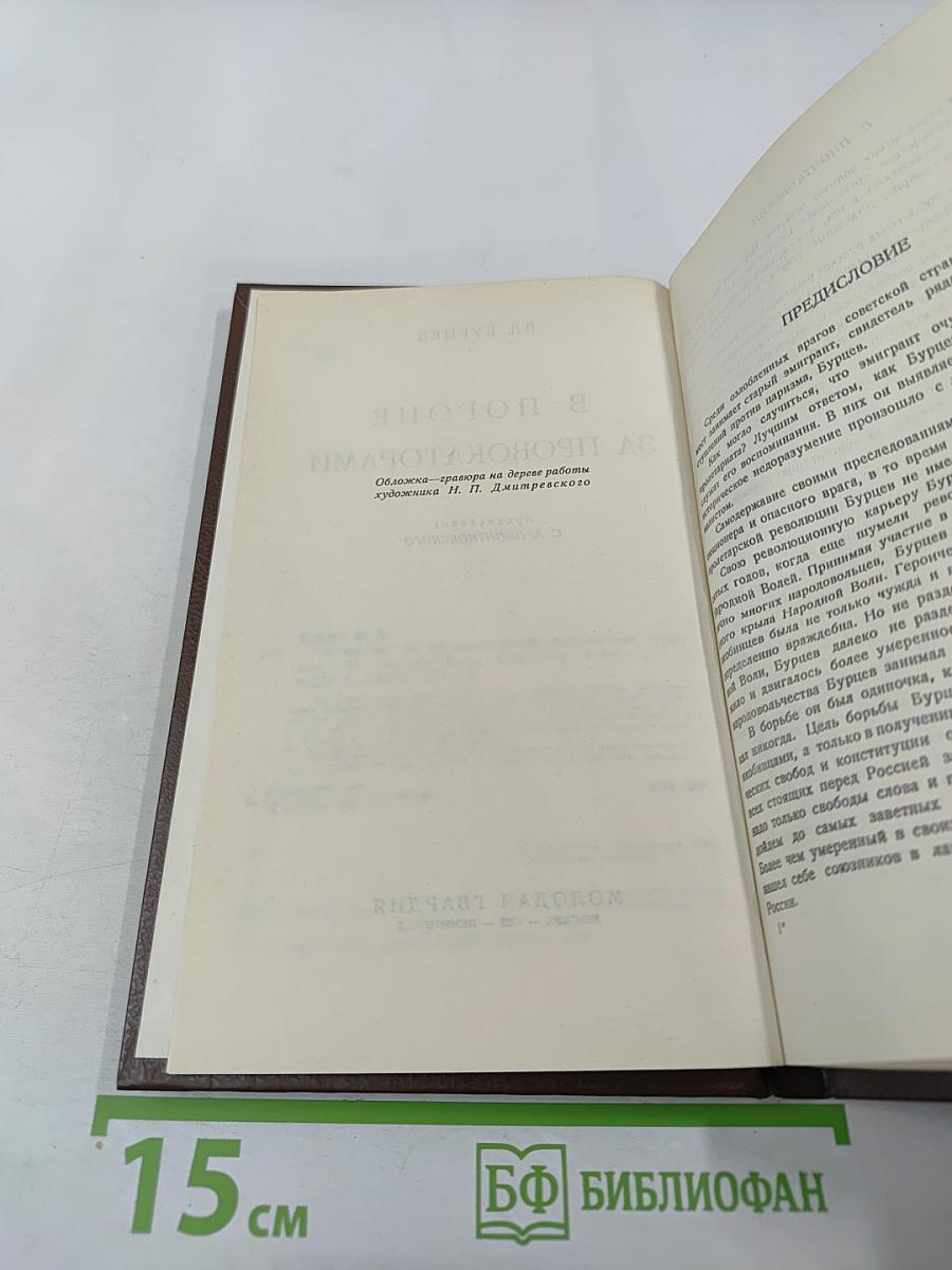 В погоне за провокаторами