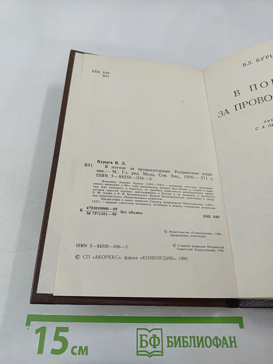 В погоне за провокаторами