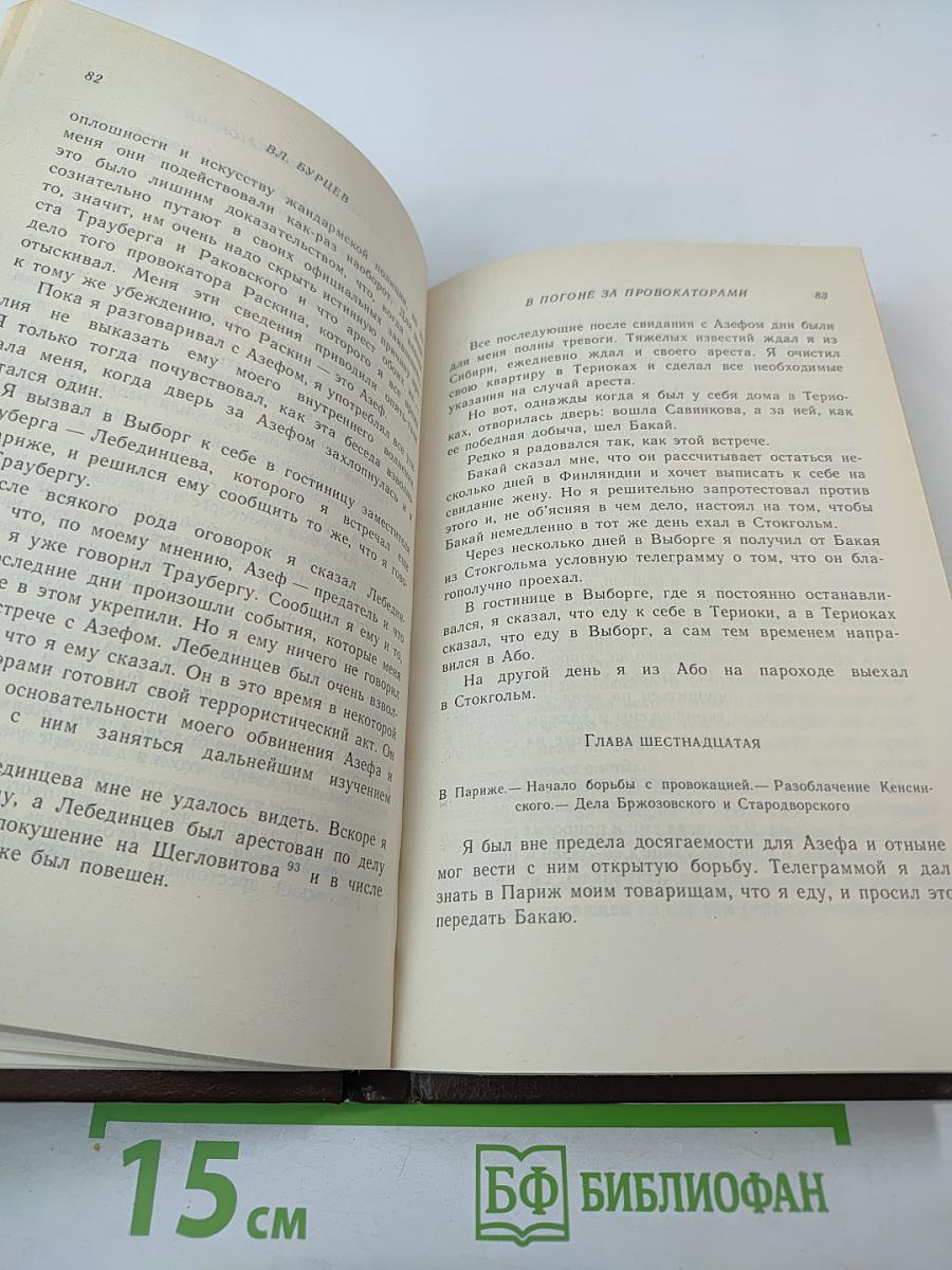 В погоне за провокаторами