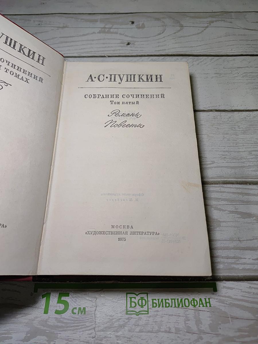 Собрание сочинений. Том пятый. Романы. Повести.