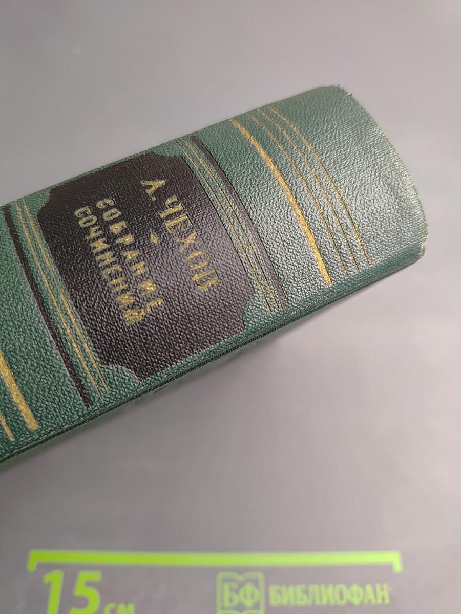 Собрание сочинений. Том одиннадцатый. Письма 1877-1892