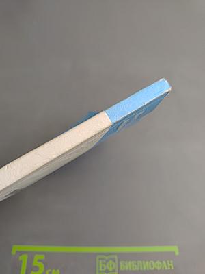 Причины возникновения и пути профилактики экстремизма и национализма в молодежной среде