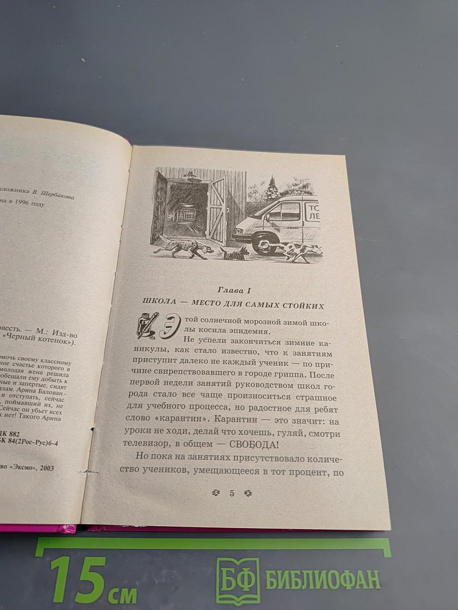 Пудель бродит по Европе