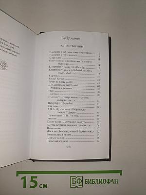 Петр Вяземский