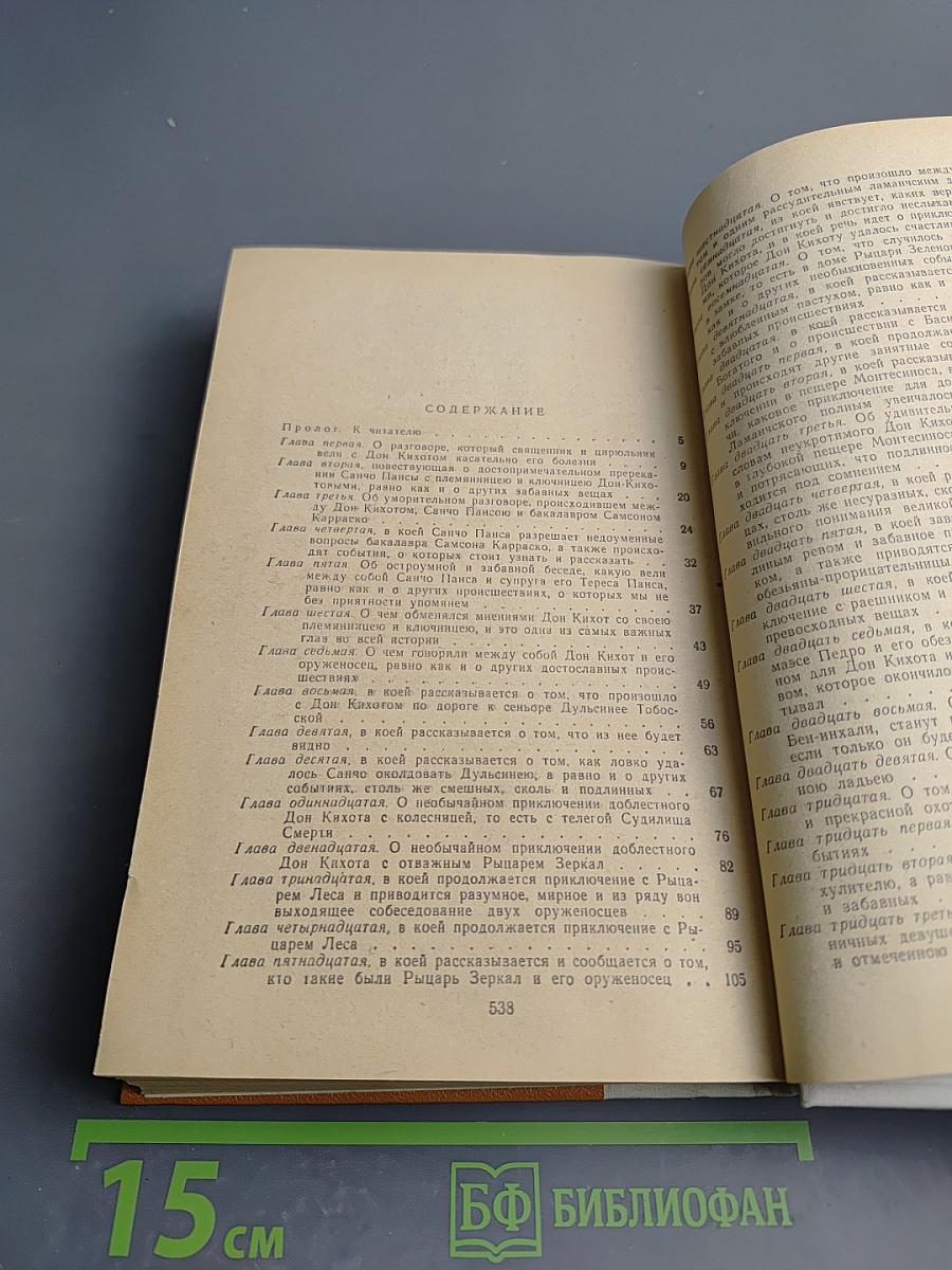 Дон Кихот Ламанчский. Часть вторая