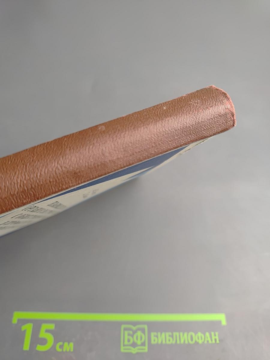 Взаимодействие органов внутренних дел с общественностью в профилактике правонарушений