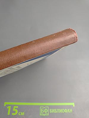 Взаимодействие органов внутренних дел с общественностью в профилактике правонарушений