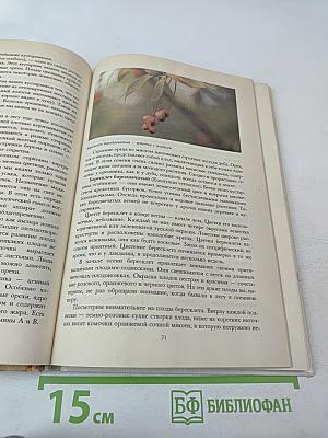 Растительный мир нашей Родины