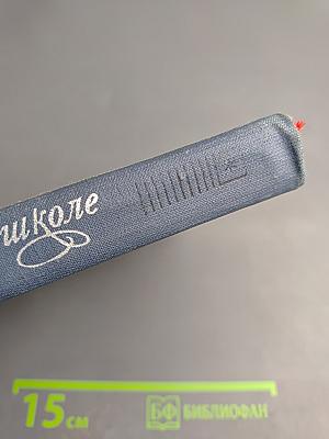 М.Ю. Лермонтов в школе. Пособие для учителя