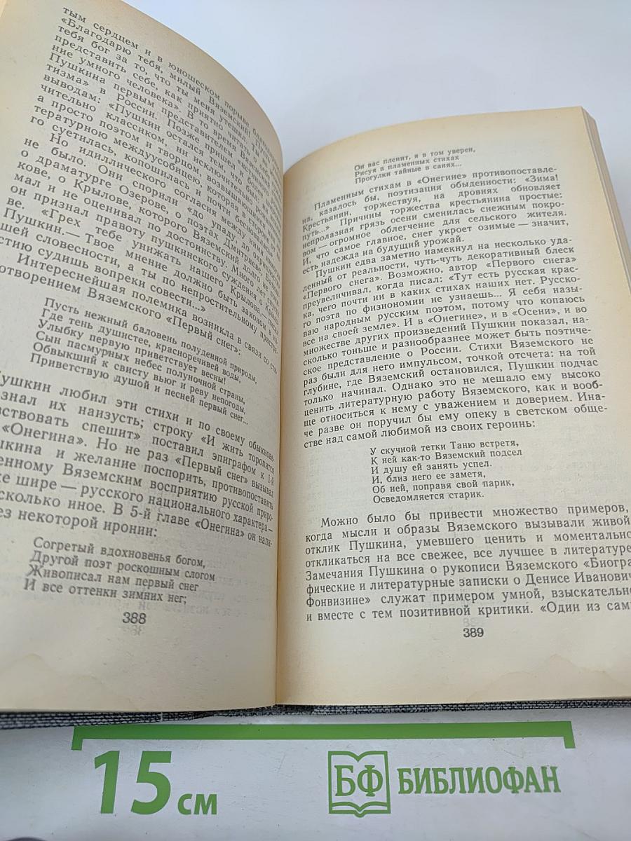 Друзья Пушкина. Переписка. Воспоминания. Дневники. Том 1