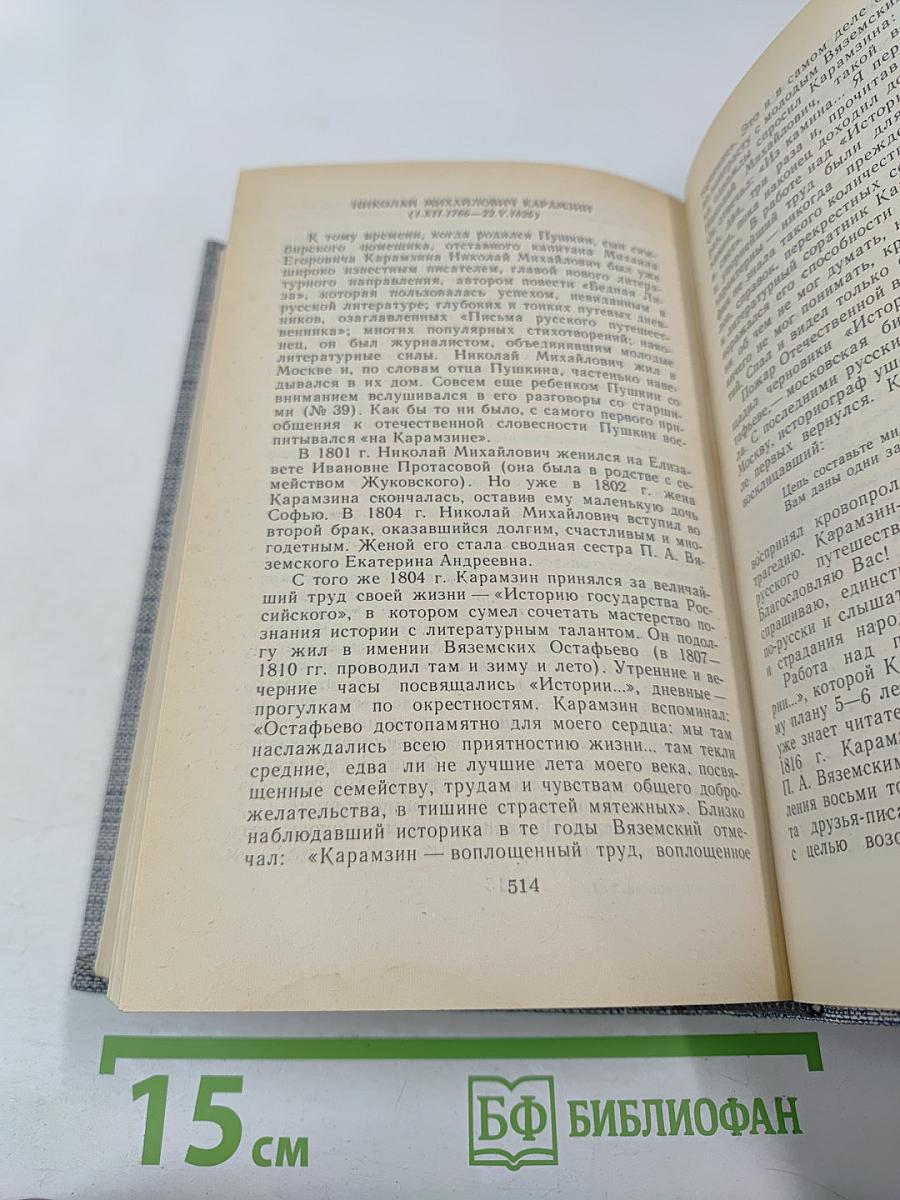 Друзья Пушкина. Переписка. Воспоминания. Дневники. Том 1