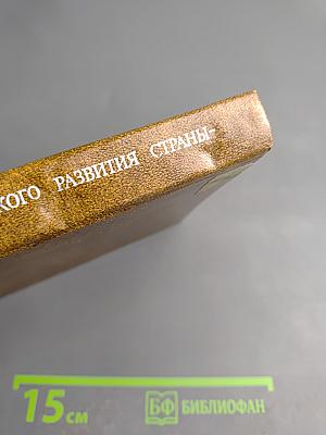 Ускорение социально-экономического развития страны - задача всей партии, всего народа. Сборник документов и материалов.