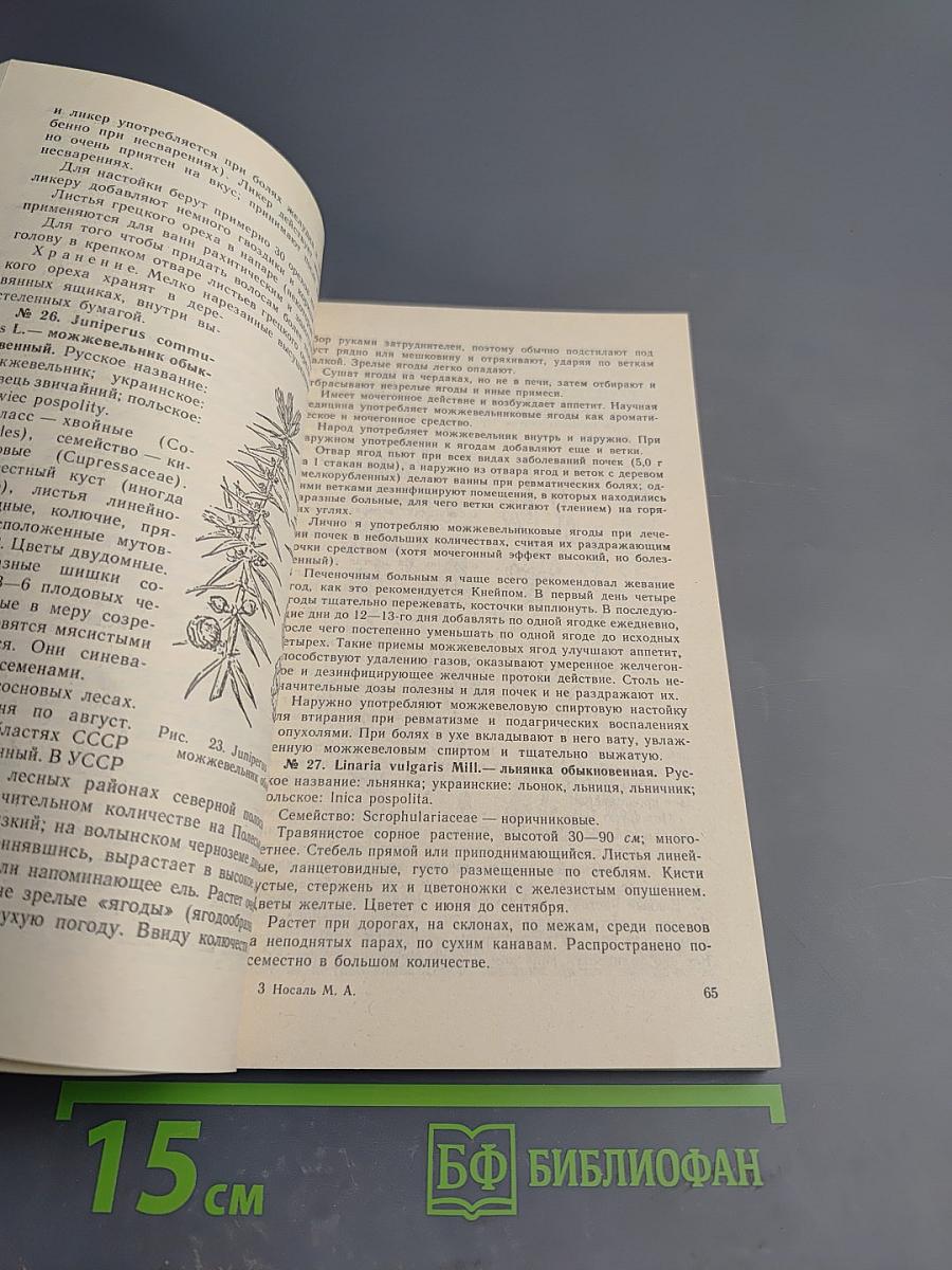 Лекарственные растения и способы их применения в народе