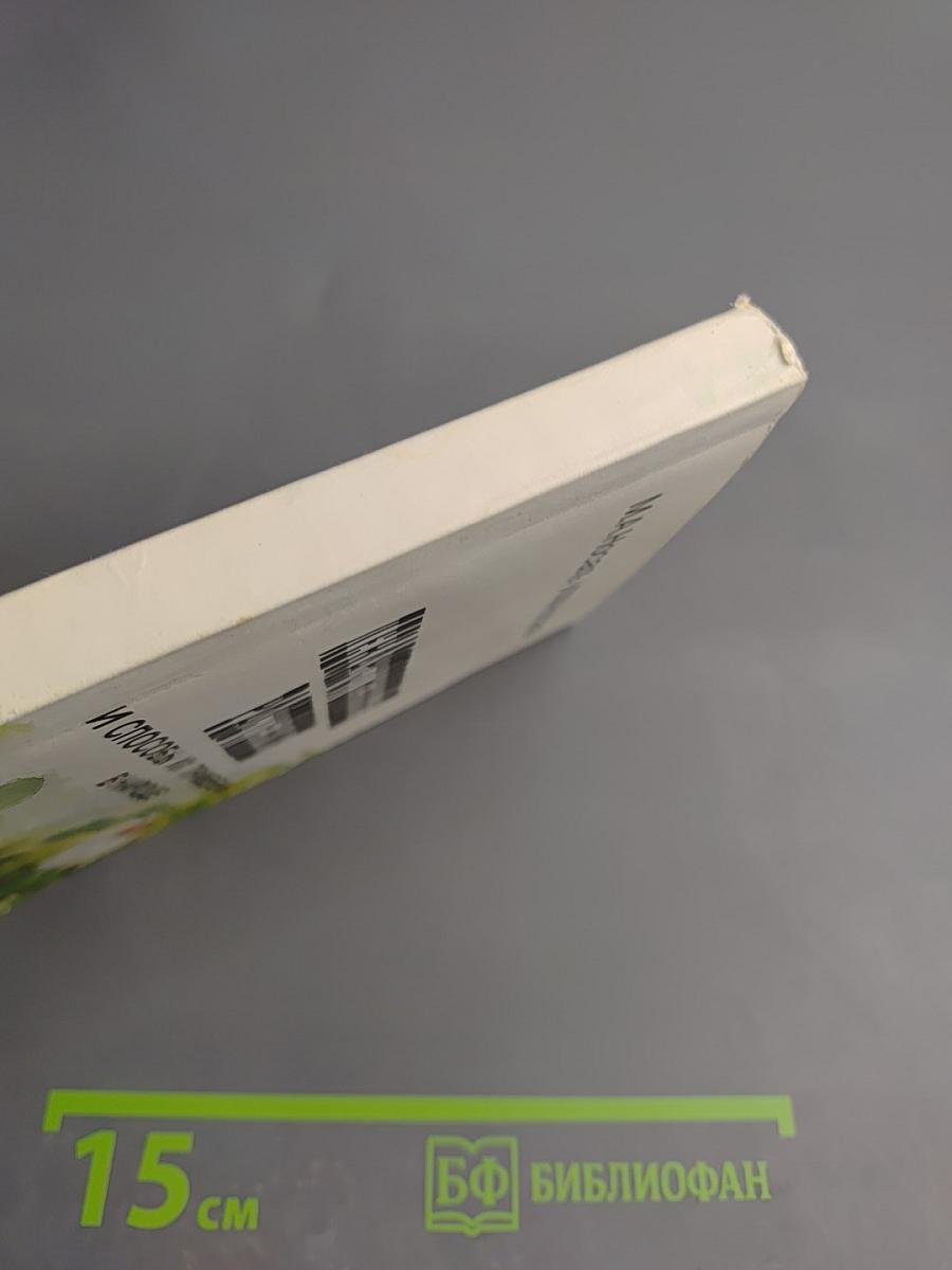 Лекарственные растения и способы их применения в народе